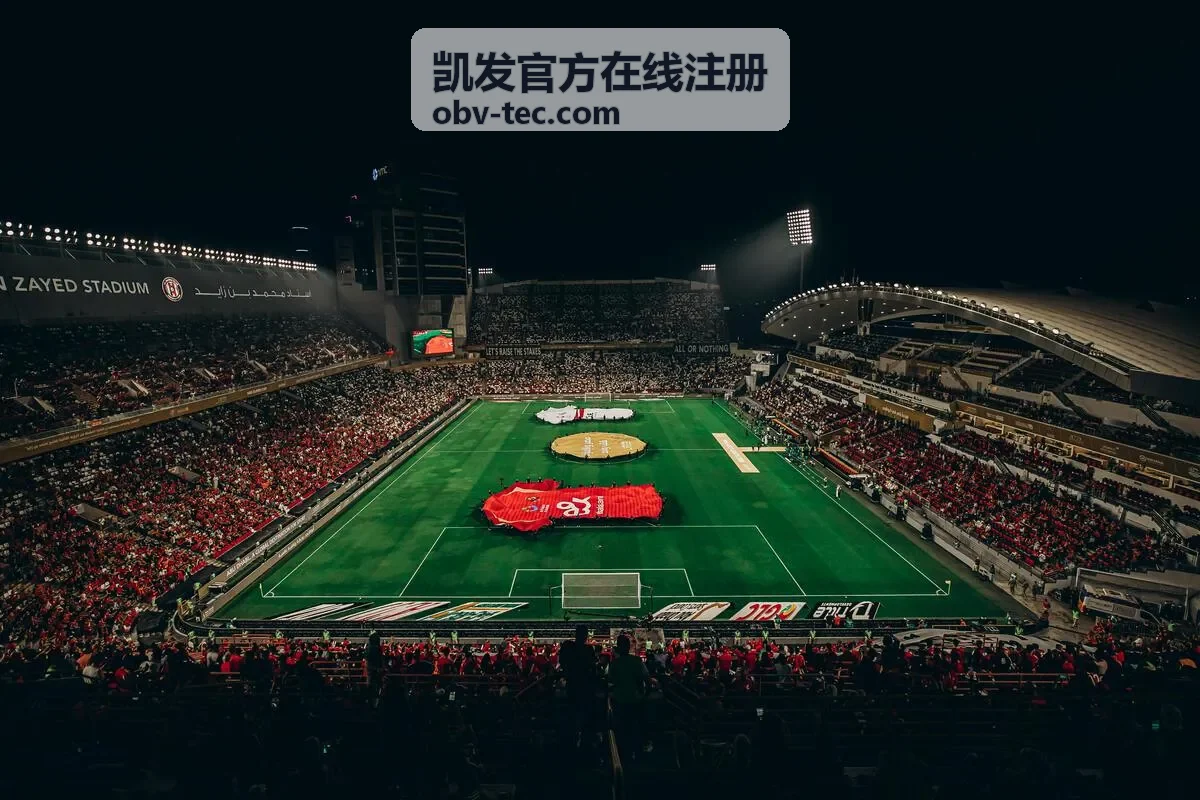 凯发官方在线注册注册资料审核常见问题整理